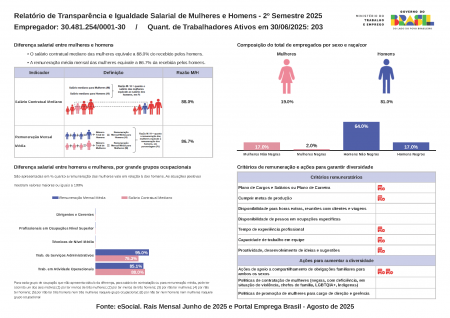 Relatório de igualdade salarial entre homens e mulheres - 2º Semestre 2025